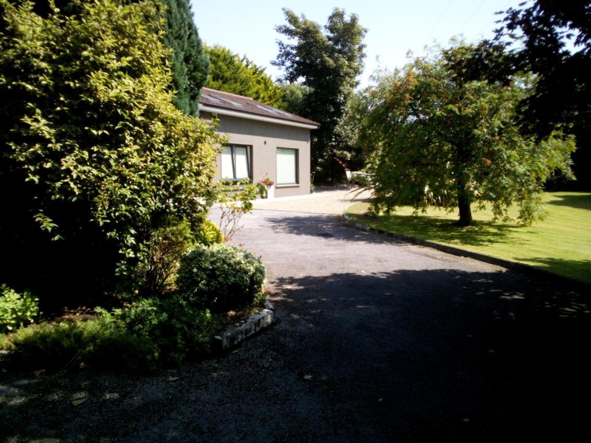 Spacious Contemporary Chalet Type Apartment. Galway Exterior photo