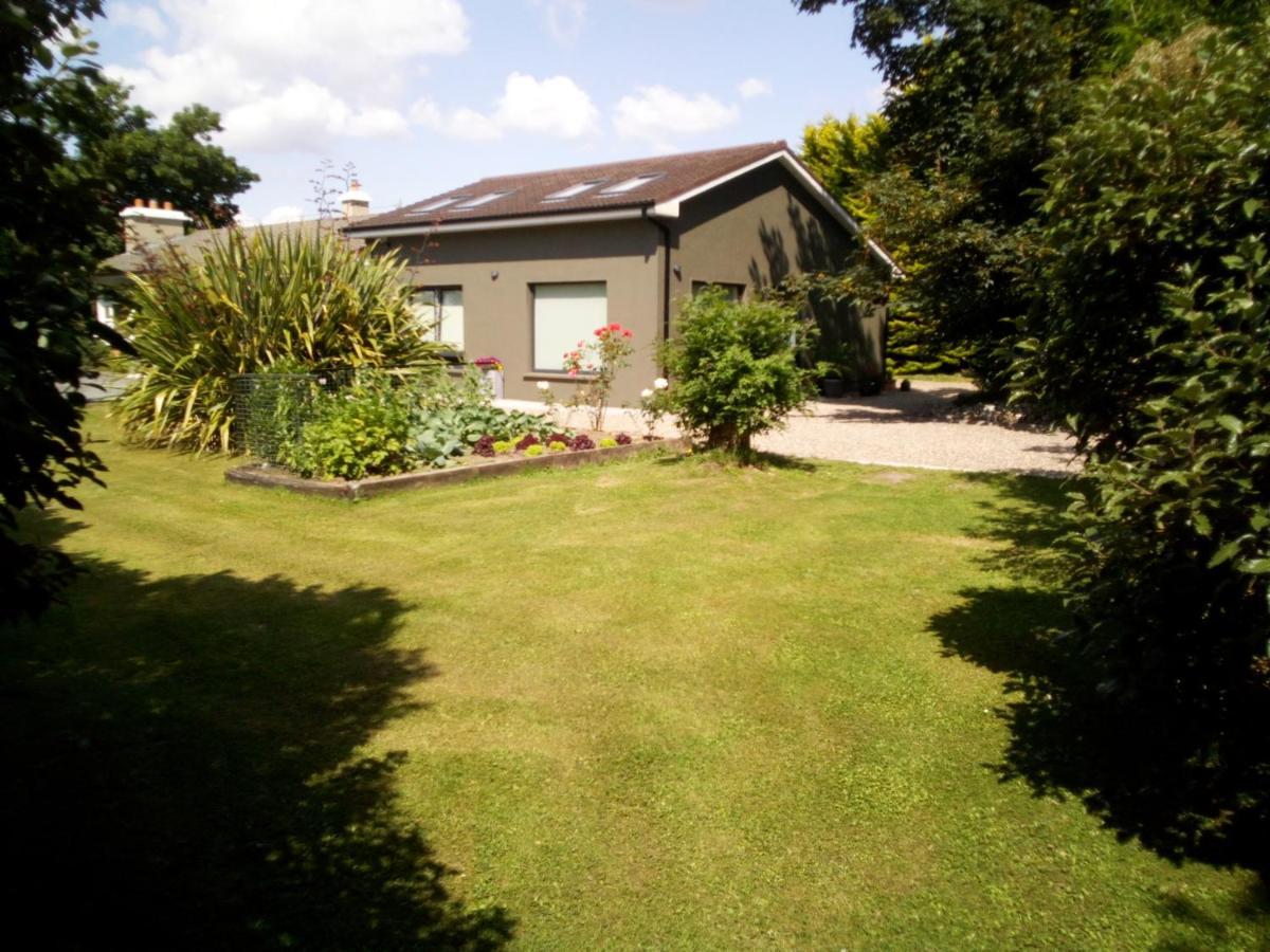 Spacious Contemporary Chalet Type Apartment. Galway Exterior photo